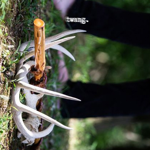 twang image