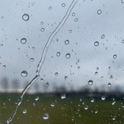 Rain on a window
