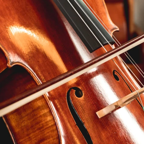 cello closeup