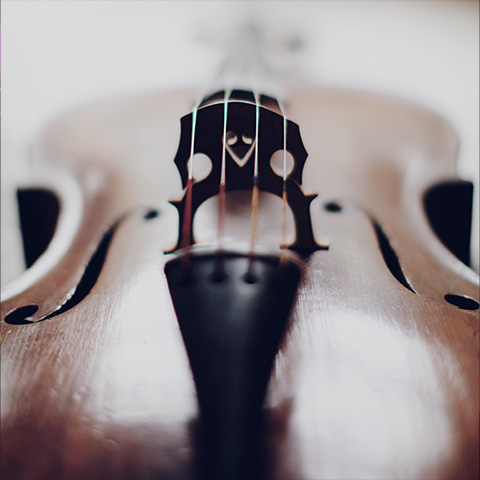 Hemenway Strings