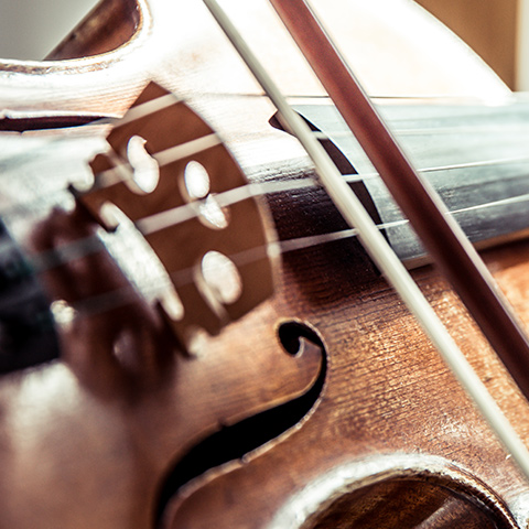 viola 1